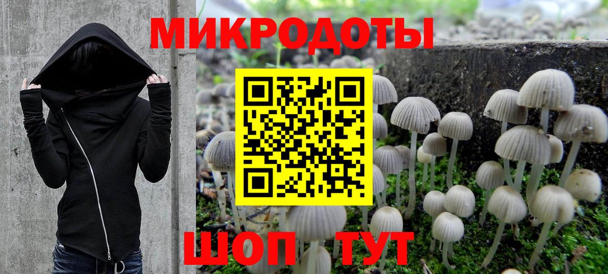Псилоцибиновые грибы Cubensis Всеволожск